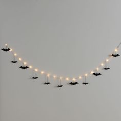 a string of lights is strung across the sky with birds flying in the air above