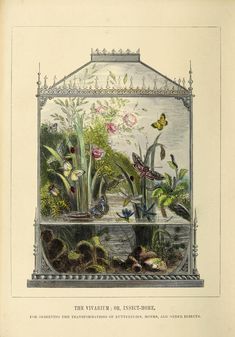 an old book with flowers and plants in it