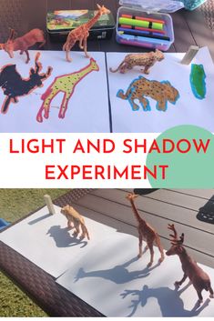 the light and shadow experiment has animals on it