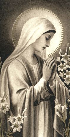 an image of the virgin mary holding flowers in her hands and looking down at it