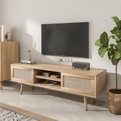 a living room with a large television on the wall and a potted plant next to it