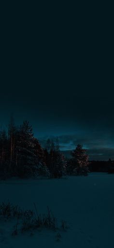 the sky is dark and cloudy at night, with trees in the foreground lit up by bright lights