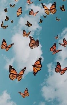 a group of butterflies flying through the air in front of a blue sky with white clouds