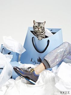 The Cat and the Flat editorial styled by Jorden Bickham and photographed by Charlie Engman. Mode Shoes, Cat Fashion, Cat Pet, Trend Fashion, Crazy Cat, Fashion Shoot, Crazy Cat Lady, Fashion Editorial, Crazy Cats