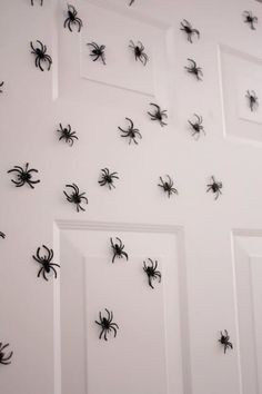 a bunch of black spider magnets are on the wall