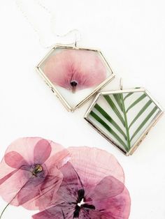 two pink flowers sitting next to each other on top of a white surface with a silver frame