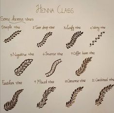 the different types of henna clags are shown in black and white on a piece of paper