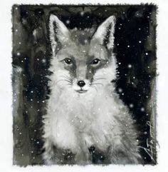 a black and white photo of a fox sitting in the snow, looking at the camera