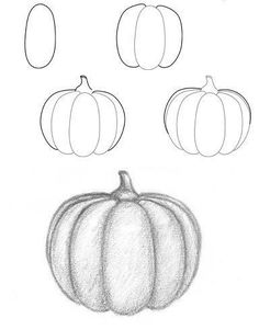 a drawing of pumpkins and their stages to be cut into smaller ones with the same size