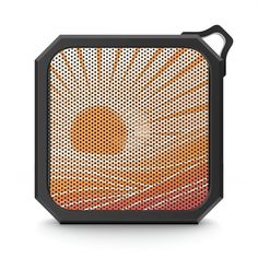 an image of a speaker with flowers on the front and back side, as if it were made out of metal mesh