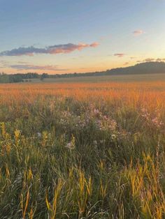 the sun is setting over an open field with tall grass and wildflowers in bloom