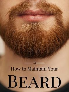 Beard Growth Kit, Guys Grooming, Beard Care Products, Beard Shampoo, Beard Game, Beard Hairstyle