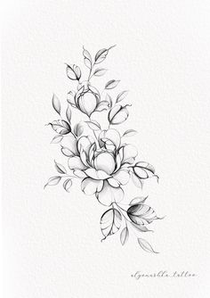 a black and white drawing of flowers with leaves on the bottom half of each flower