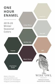 the color scheme for an owl themed paint palette