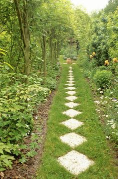 a stone path in the middle of a lush green forest