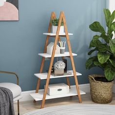 a living room with blue walls and a white ladder shelf next to a potted plant