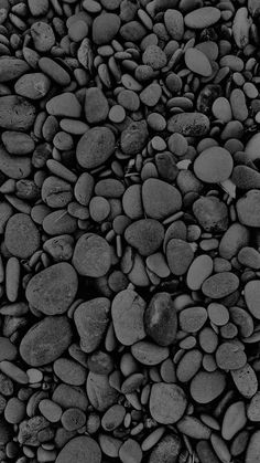 black and white photograph of rocks on the ground