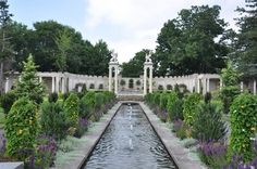 the garden is full of flowers and water