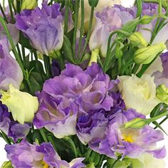 a vase filled with purple and white flowers