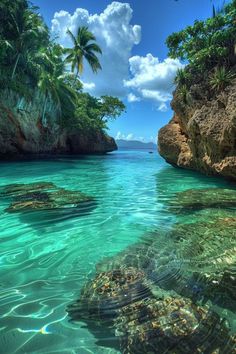 the water is crystal blue and clear with some rocks in it's foreground