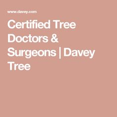 Certified Tree Doctors & Surgeons | Davey Tree Tree Service, Trees, Health, Plants