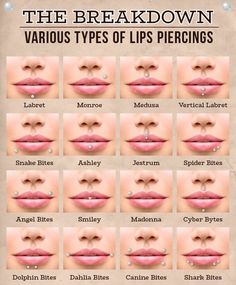 the different types of lips and how to use them