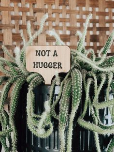 a potted plant with a wooden sign that says not a hugger