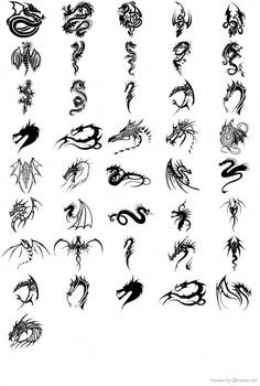 dragon tattoo designs on white paper with black ink and watermarking, all in different shapes