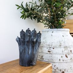 Tantra Marble Lion Paw Black Coffee Table Centerpiece, Coffee Table Centerpieces, Lion Paw, Symbol Of Strength, Symbols Of Strength, Header Image, Black Marble, Australian Design, Table Centerpieces