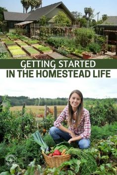 the cover of getting started in the homestead life