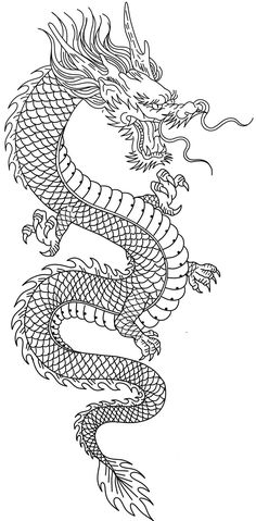 a black and white drawing of a dragon with its tail curled up in the air