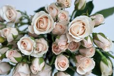 a bouquet of white and pink roses with green leaves