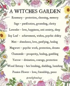 Wicca Herbs Charts, Dried Flowers Witchcraft Meaning, Spells For Plant Growth, Garden Magic Aesthetic, Herbs For Strength Spell, Witchy Herbs To Grow, A Witches Garden, Witchy Garden Plants, Plants For Witchcraft