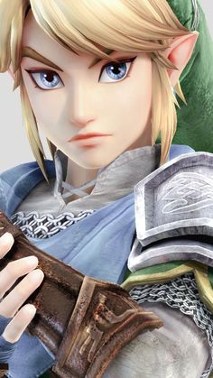 Link Hyrule Warriors, Hyrule Warriors Link, Zelda Hyrule Warriors, Botw Zelda, Princesa Zelda, Zelda Botw, Hyrule Warriors, Link Art