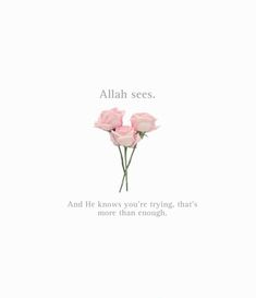 two pink roses with the words, allah sees and he knows you're trying that's more than enough