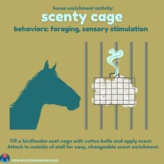 a poster with a horse behind bars and the words scenty cage on it