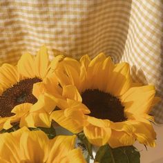 three sunflowers are sitting in a vase on a table next to a checkered curtain