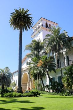 palm trees in front of a white building with balconies on the second floor