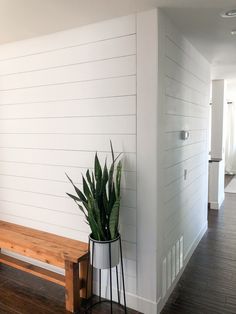 a potted plant sitting on top of a wooden bench next to a white wall