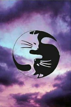 the silhouette of a cat is shown against a purple and blue sky