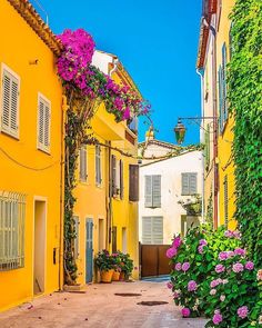 an alley way with flowers growing on the buildings