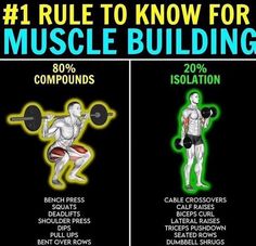 an info poster showing the benefits of muscle building