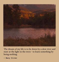 an image of a lake with trees in the background and a quote from mary clever