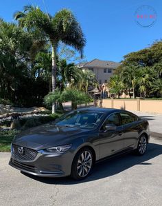 a grey car parked on the side of a road next to trees and palm trees