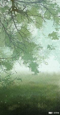 an image of trees in the foggy sky with grass and flowers on the ground