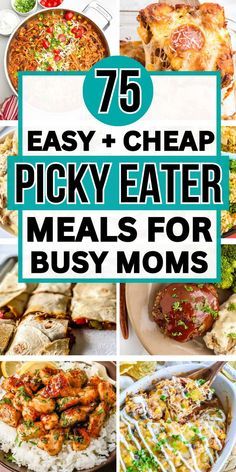 easy and cheap picky eater meals for busy moms