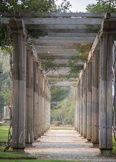 the walkway is lined with wooden posts and trees on both sides, leading to an open grassy area