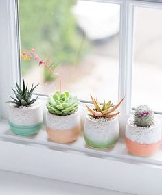 four succulents are sitting on a window sill