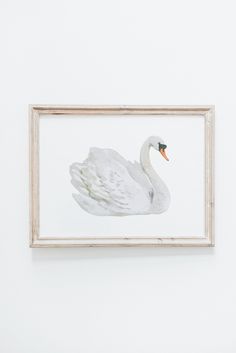 a white swan is hanging on the wall next to a framed painting in a frame