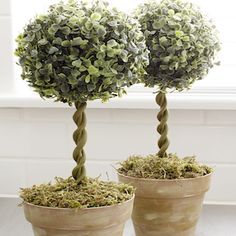 two potted plants are sitting in front of a window